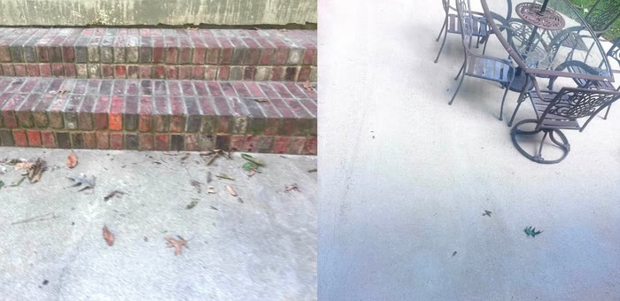 A before and after pair of a concrete patio by brick steps: leaves and dark staining on the left, clean concrete and patio furniture on the right.