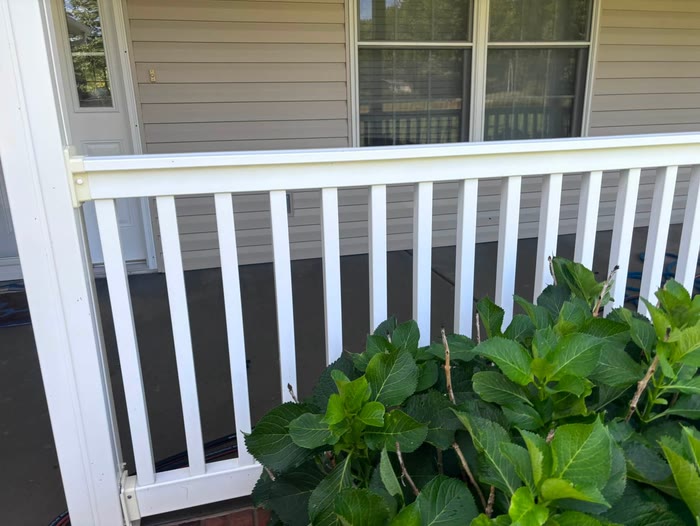 A bright white porch railing in front of tan siding and a window, a leafy shrub growing through the rails.