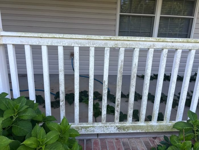 Before washing: a white porch railing streaked green and grey, with shrubs growing through it.