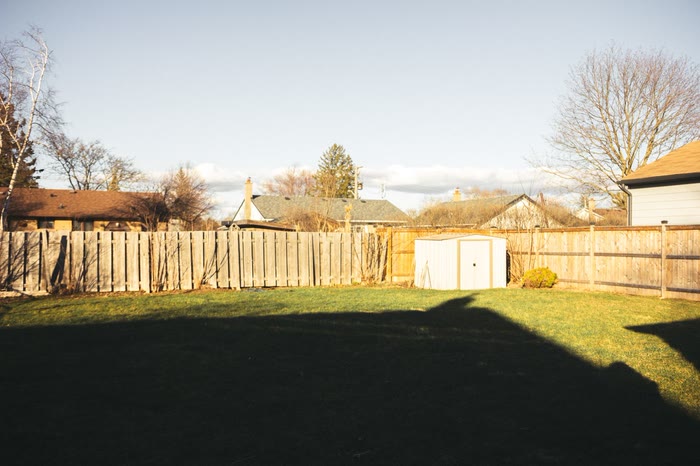 A backyard lawn surrounded by a tall wooden privacy fence, a small shed in the corner.