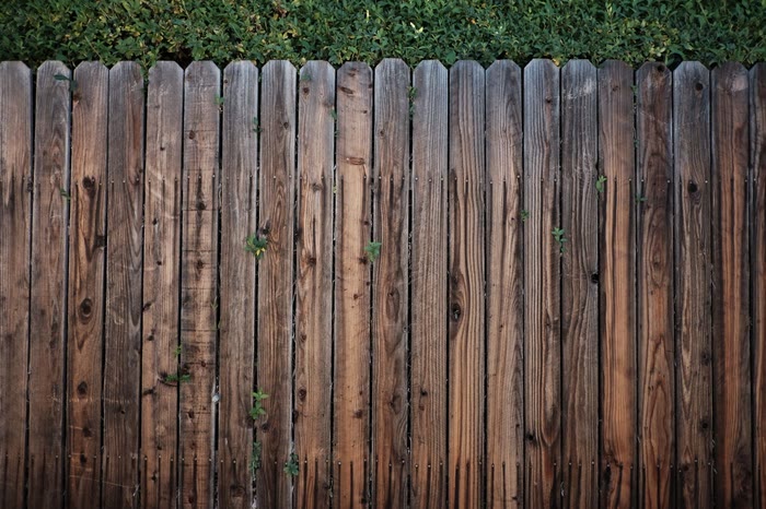 Weathered wooden fence boards with green leaves growing along the top.