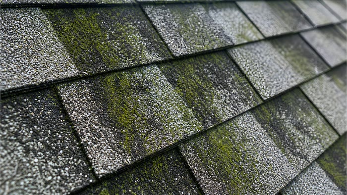 Close up of grey roof shingles with patches of green moss growing across them.