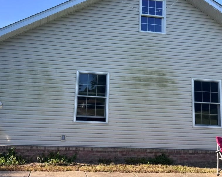 The side of the house before washing, with green streaks across the pale
                  siding.